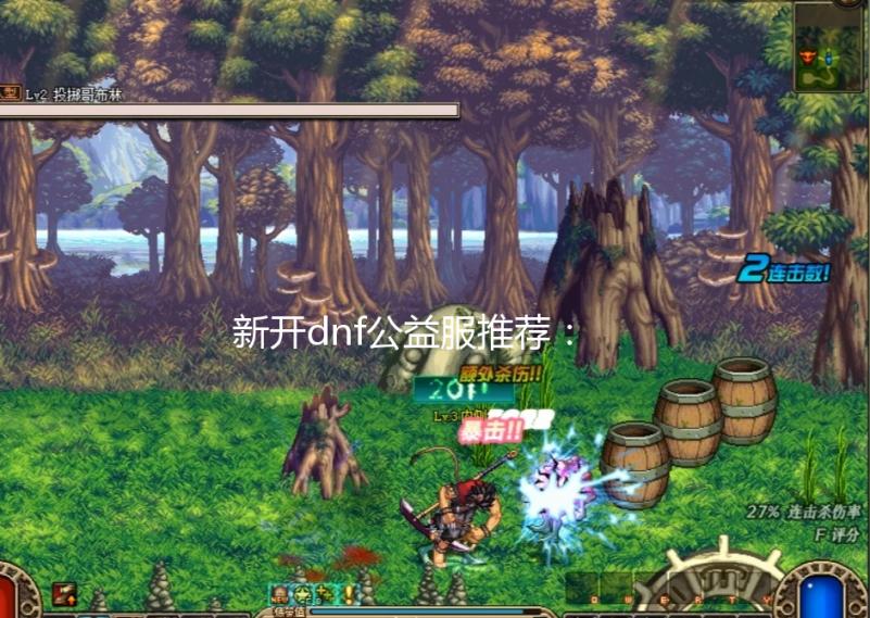新开dnf公益服推荐:《9527DNF》